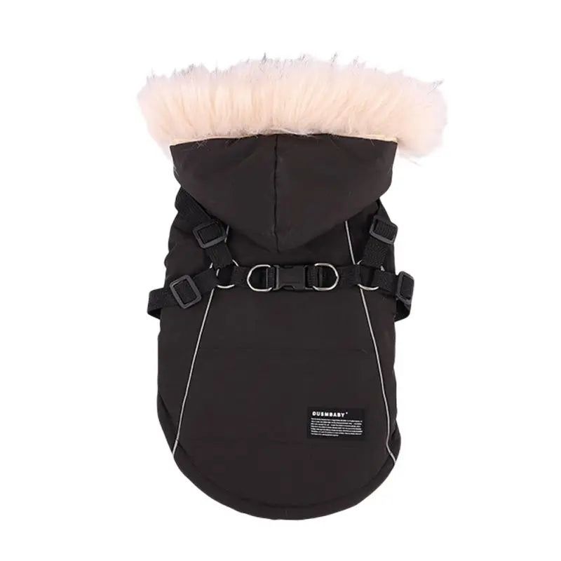 Waterproof for Small Medium Dogs Coat  Outfit