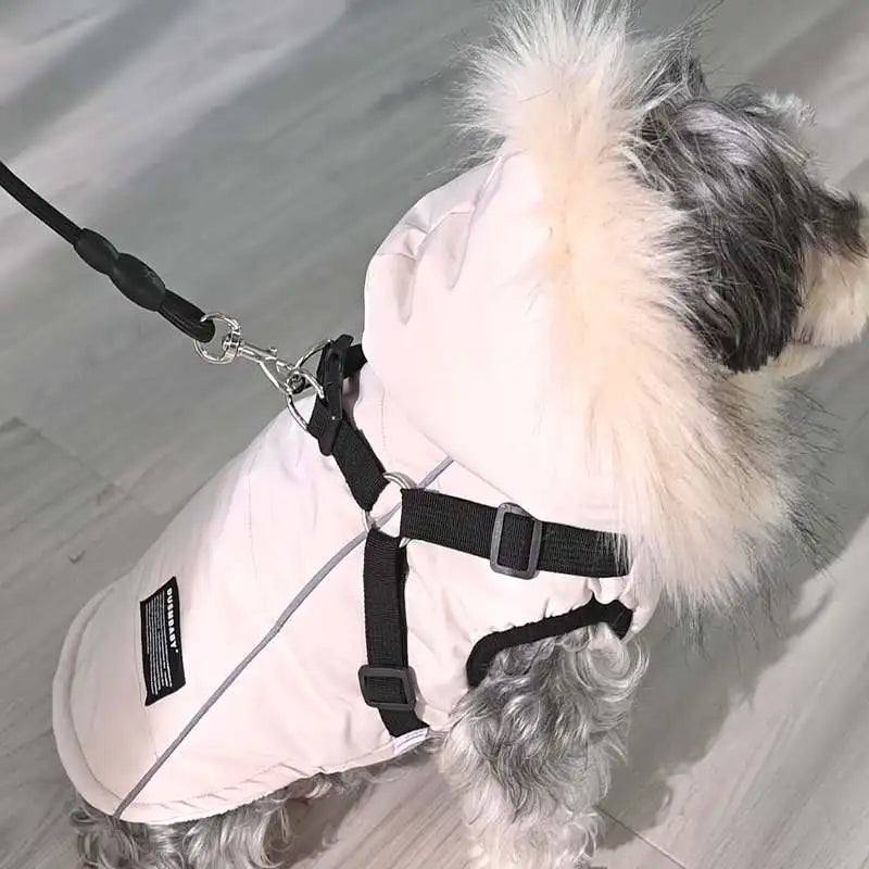 Waterproof for Small Medium Dogs Coat  Outfit