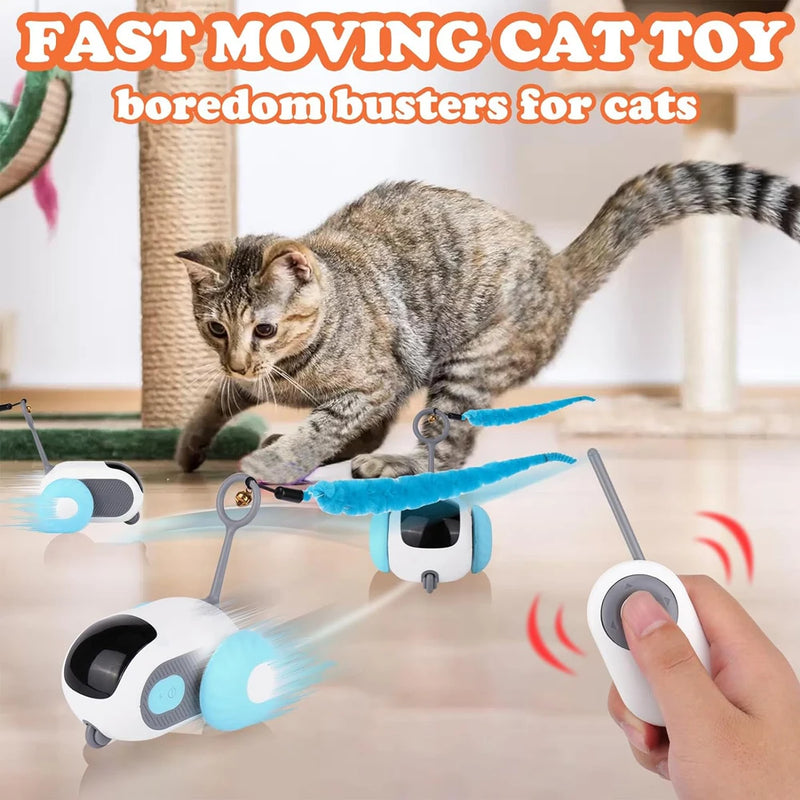 Smart Cat Toy|Playing Kitten Training Pet Supplies