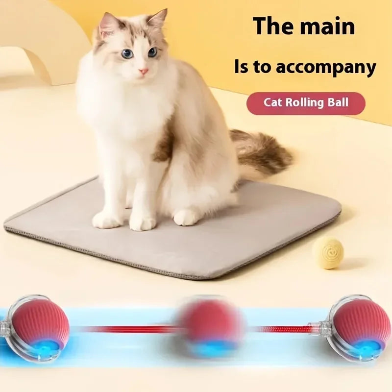 Automatic Rolling Ball Interactive Ball Cat Toys