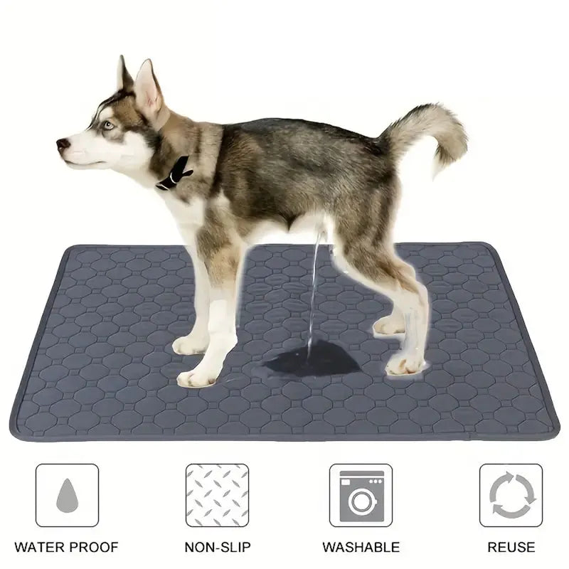 Dog Pee Pad Reusable Washable Dog Urine Mat