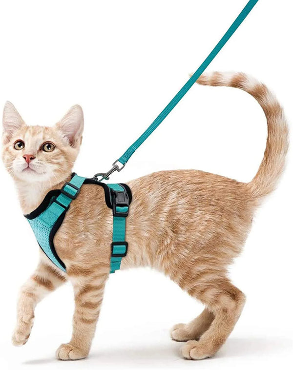 Cat Harness and Leash for Walking,