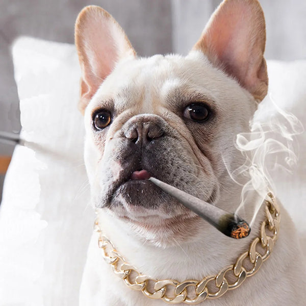 Luxury Pet Dog Collar Gold Chain Necklace