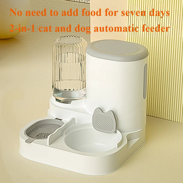 Cat bowl automatic feeder for cats