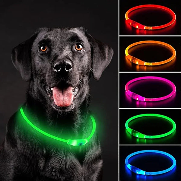 Led Dog Collar Luminous Usb Cat Dog Collar