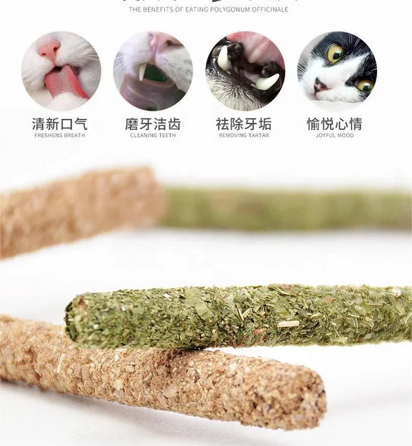 Natural Matatabi Cat Stick  Pet Supply Cat Toys