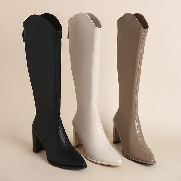 Women High Heels Boots  Winter Boots Knee High shoes