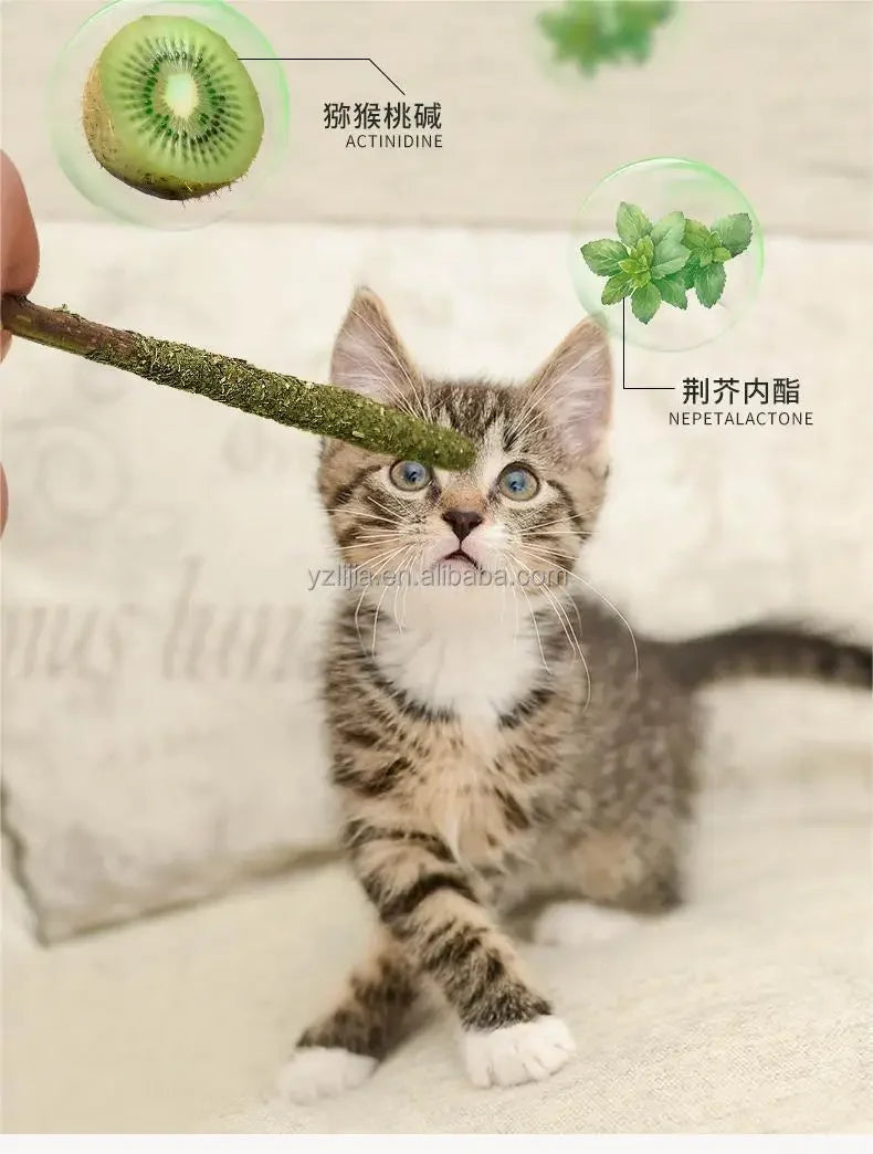 Natural Matatabi Cat Stick  Pet Supply Cat Toys